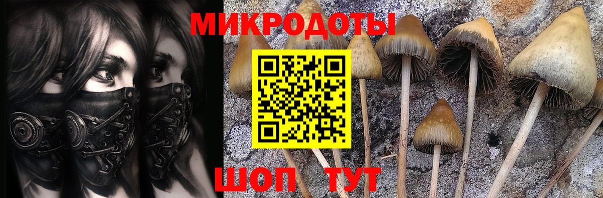 Галлюциногенные грибы Psilocybe  Галлюциногенные грибы Psilocybine cubensis  Мыски  Вход с VPN 