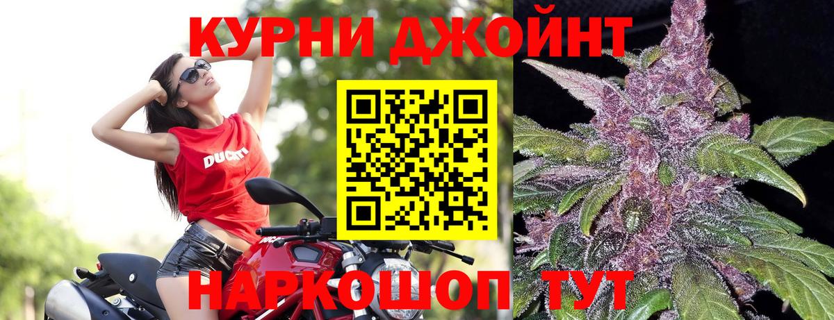 МАРИХУАНА ГИДРОПОН Мыски